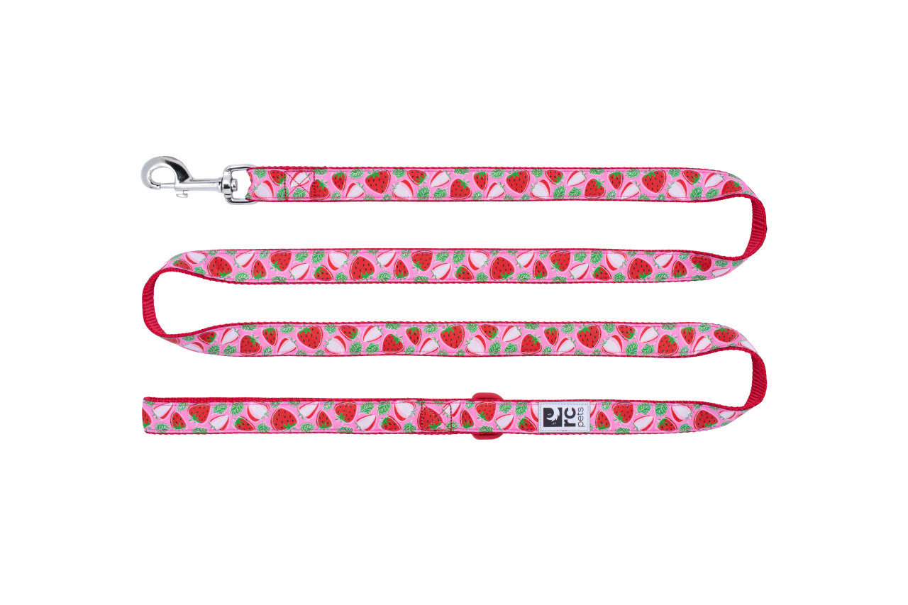 Patterned Leash