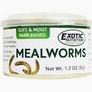 Canned Mealworms