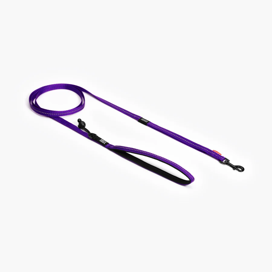SOFT TRAINER LEASHES W/ TRAFFIC CONTROL- 6 FOOT