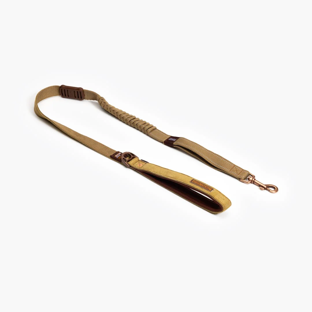 ZERO SHOCK LEASHES