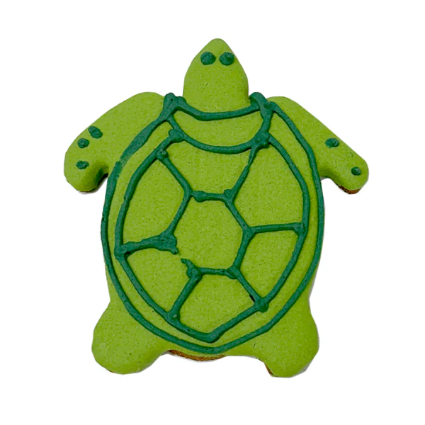 Turtle (Summer)