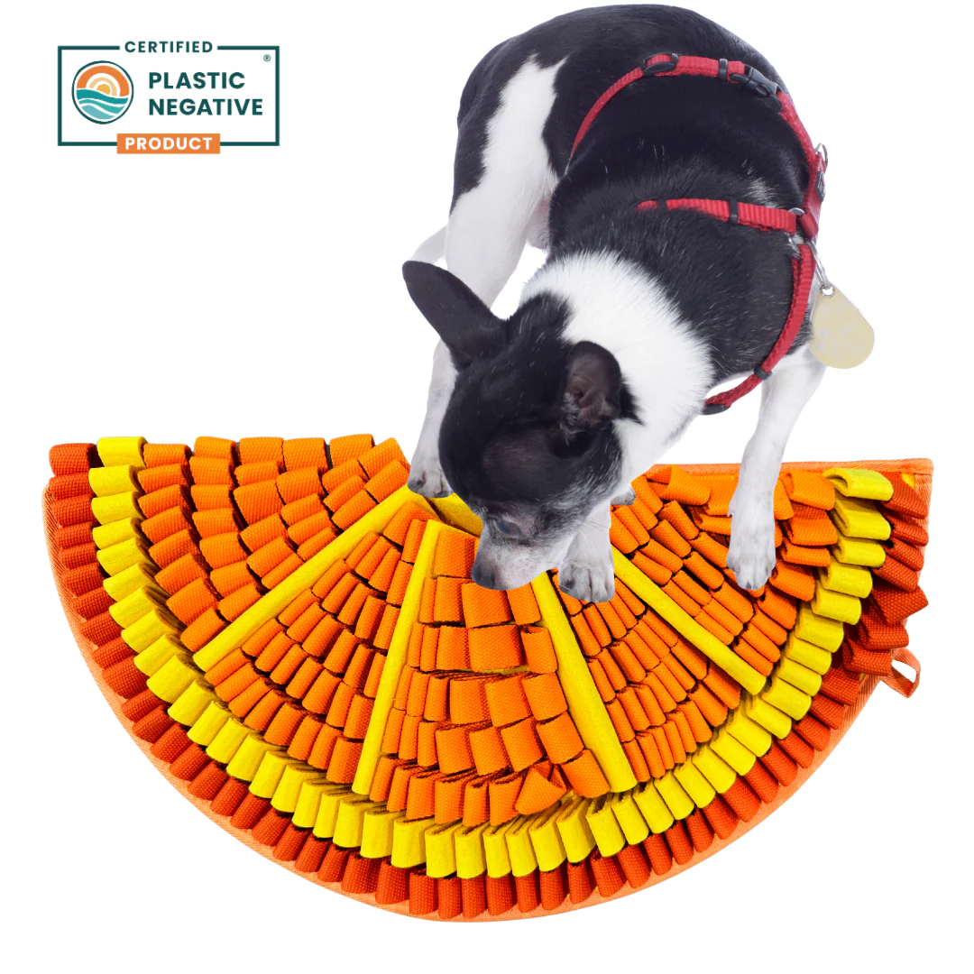 Tangy Orange Snuffle Mat