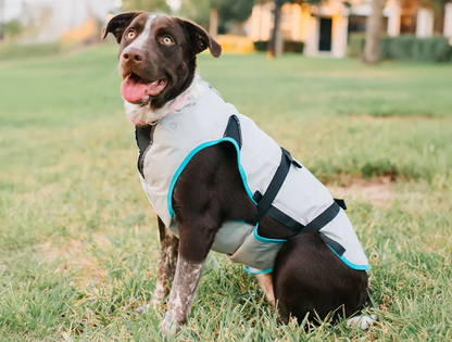 Dry Cooling Vest- Dog