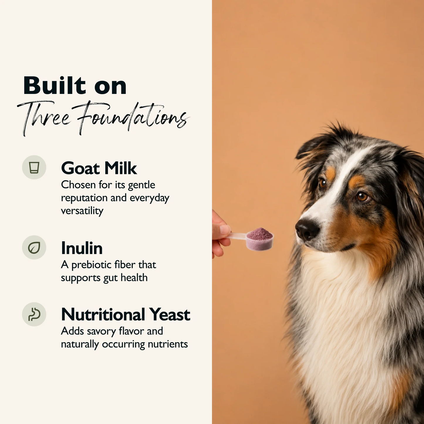 Vitality Goat Milk Topper - Beet & Blueberry- 3oz