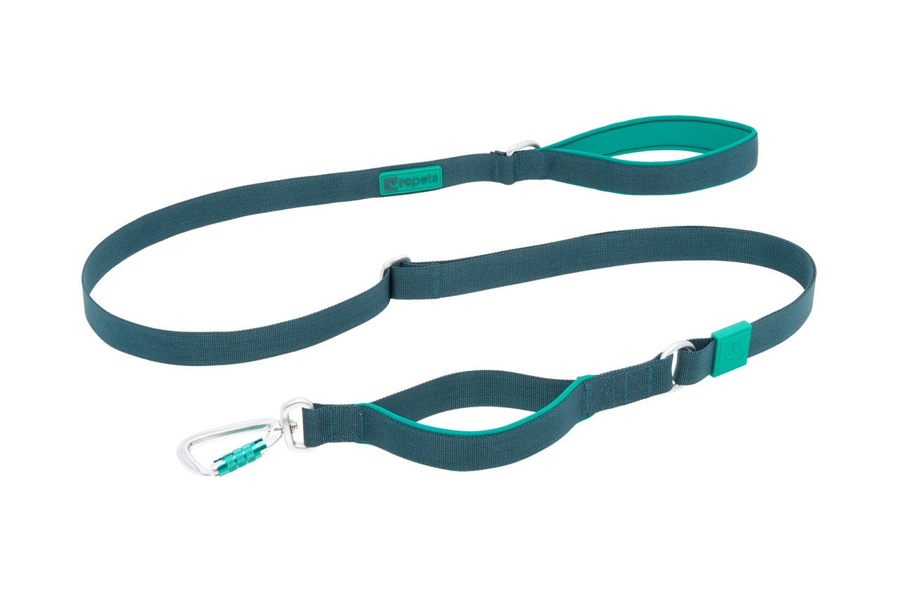 Stratus Leash 1" x 7'