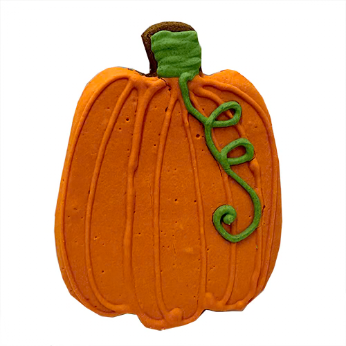 Pumpkin (Fall) Case of 12
