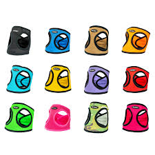 Starter Packages - Step-in Harness