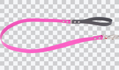 Vivid PVC Dog Lead