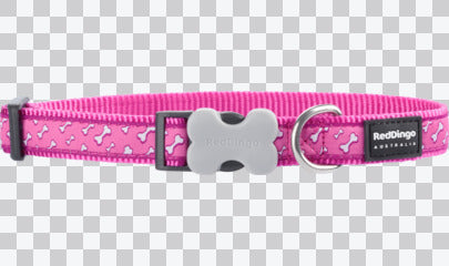 Buckle Bone Dog Collars - Design - Fang It