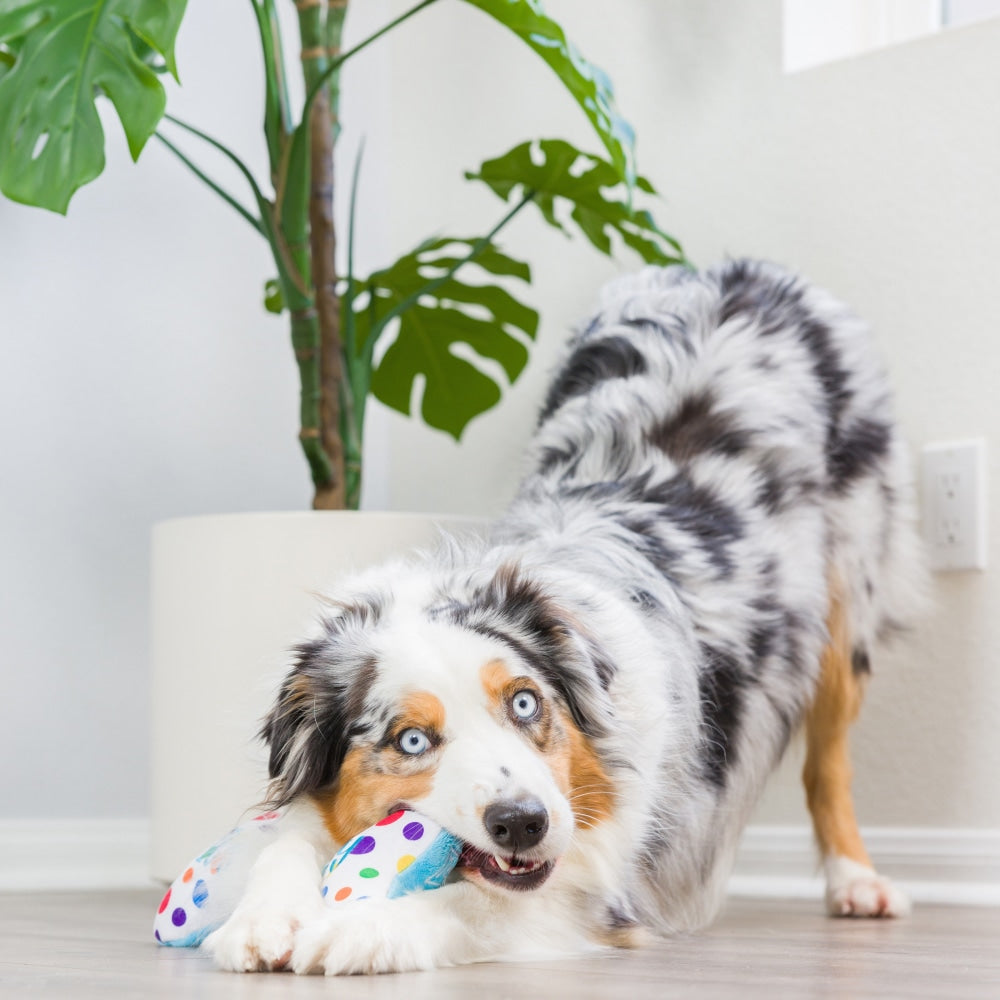 It's My Barkday Bone Dog Toy (Double Sided)