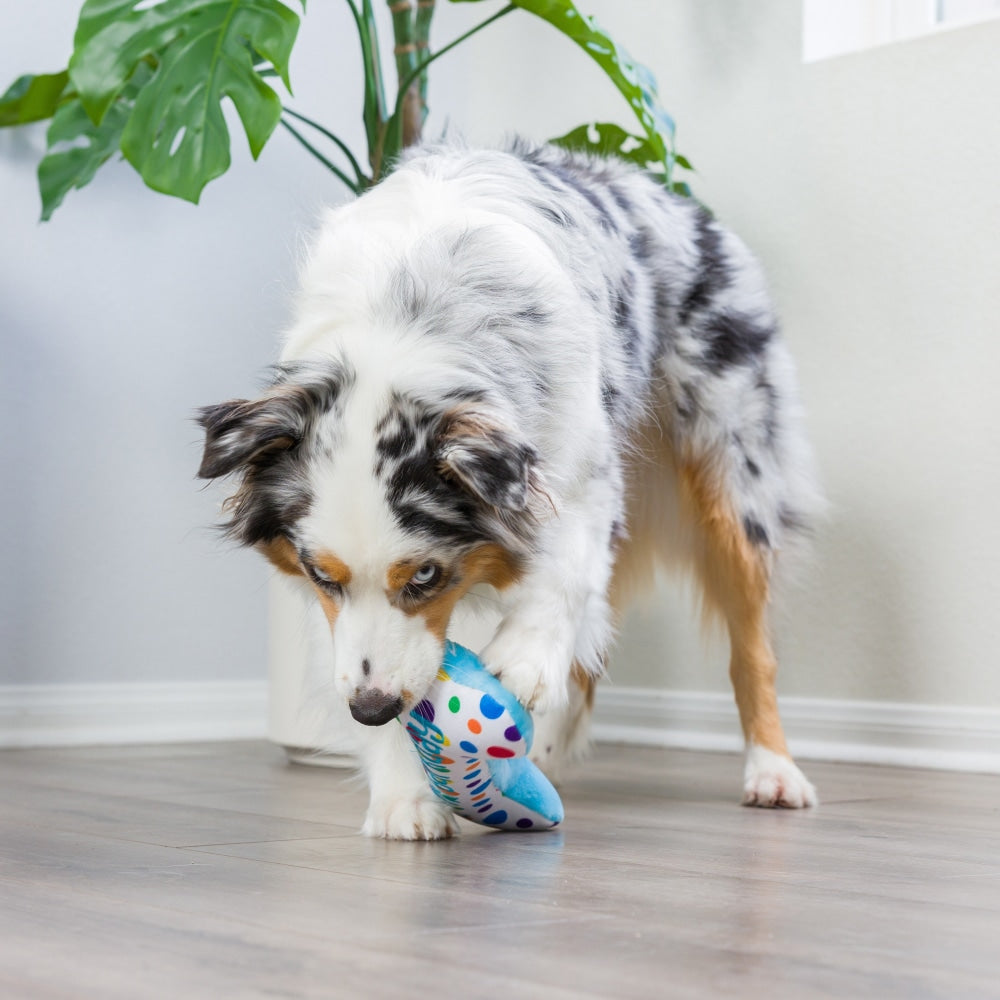 It's My Barkday Bone Dog Toy (Double Sided)