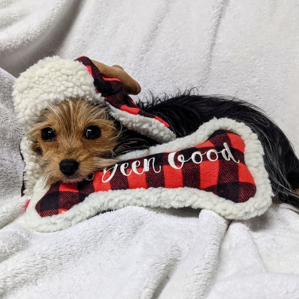 I've Been Good Bone Dog Toy