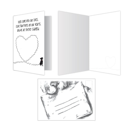 Blank Cards (Pack of 6)