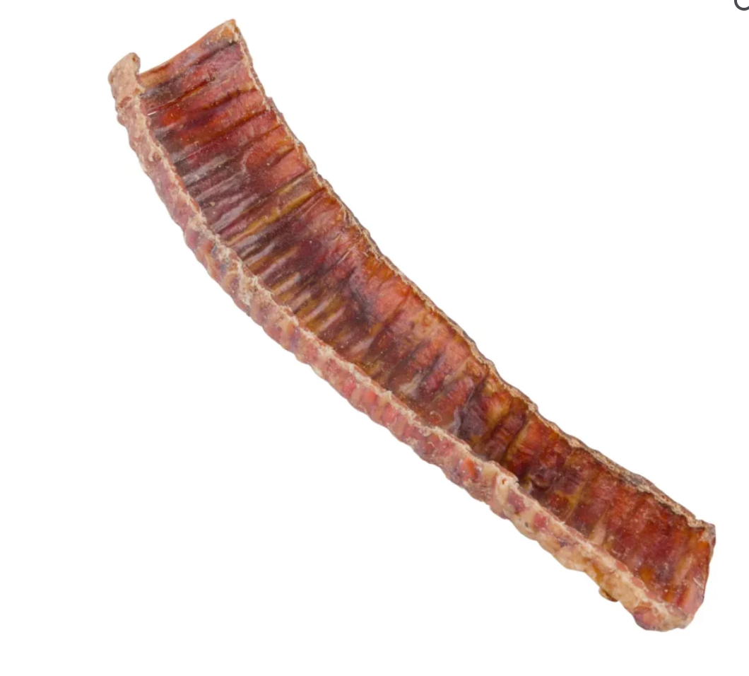 Natural Cravings - USA Trachea