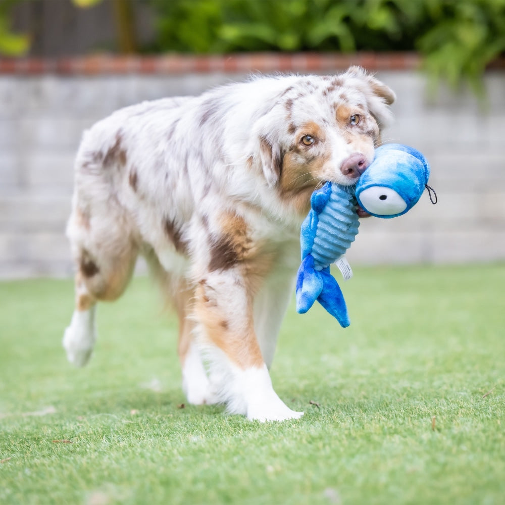 Slappies® Jack Hammerhead Dog Toy