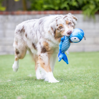 Slappies® Jack Hammerhead Dog Toy