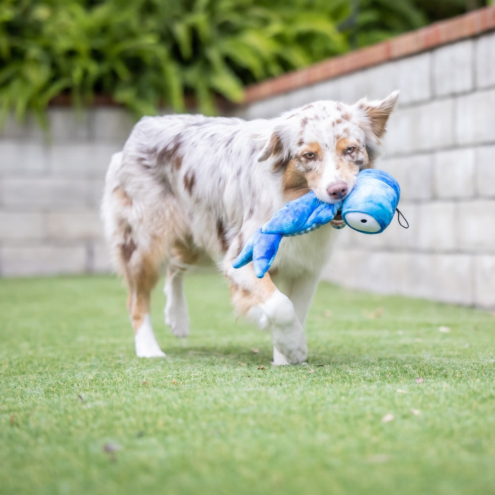 Slappies® Jack Hammerhead Dog Toy