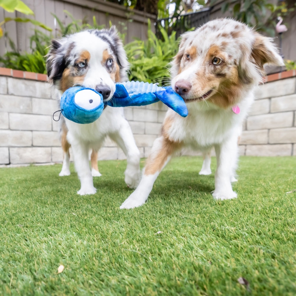 Slappies® Jack Hammerhead Dog Toy