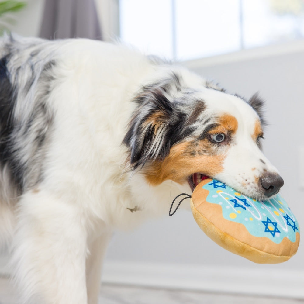 Jelly Roll Dog Toy - 30% Off