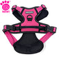 Eddie Bauer Comfort Harness (Inner Pack 6)