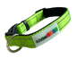Neoprene Padded Nylon Dog Collar