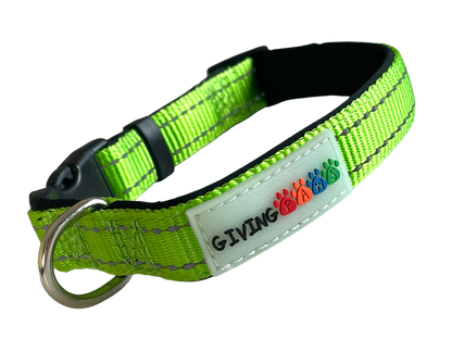 Neoprene Padded Nylon Dog Collar