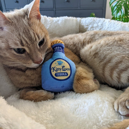 Kitty Loco Tequila Cat Toy