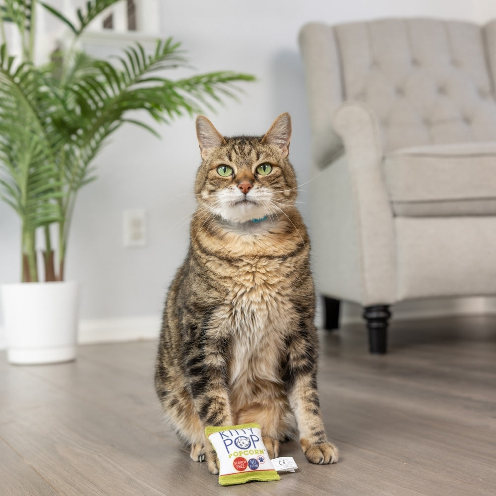 Kitty Pop Cat Toy