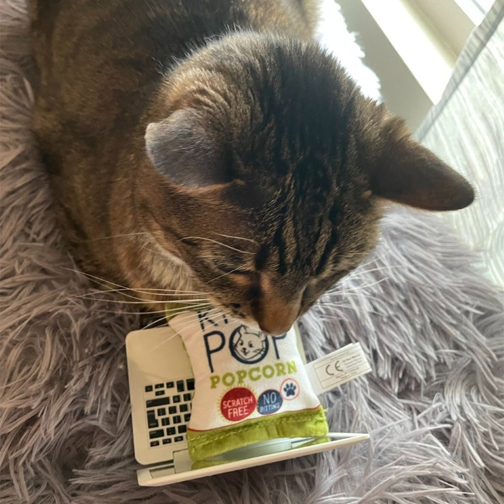 Kitty Pop Cat Toy