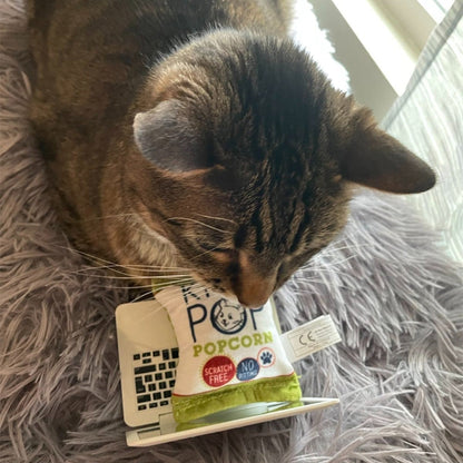 Kitty Pop Cat Toy