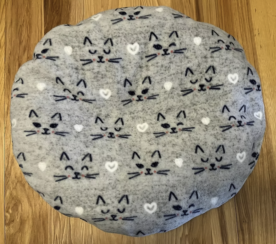 Buckwheat Cushion