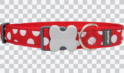 Buckle Bone Dog Collars - Design - Spots