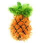 Oomaloo Pet Toy - Pineapple