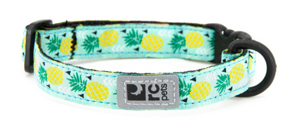 Kitty Breakaway Collar