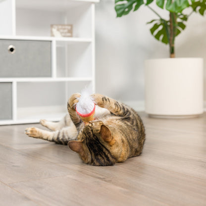 Latte My Way Cat Toy