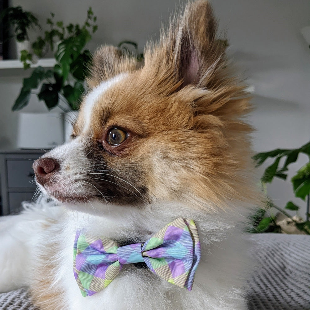 Lavender Lemon Check Bow Tie
