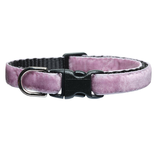 The Sugar Plum - Collar