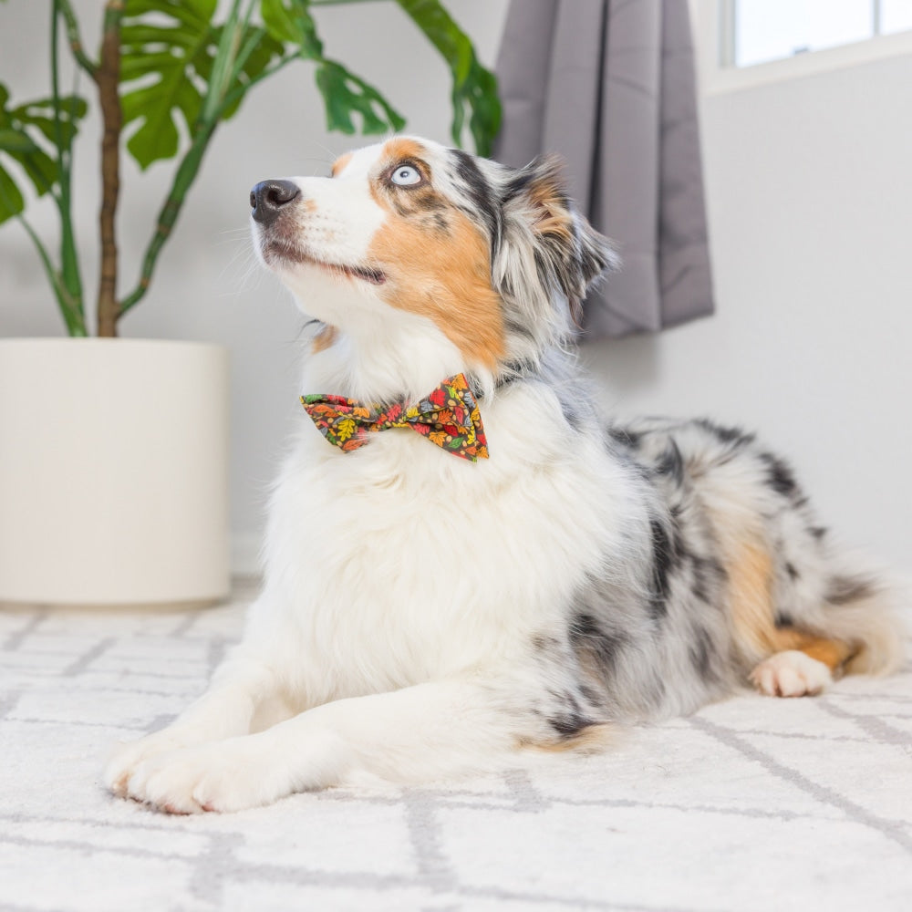Leaves & Nuts Bow Tie