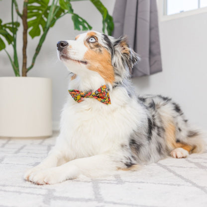 Leaves & Nuts Bow Tie
