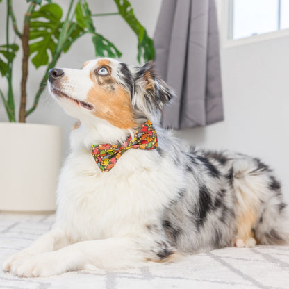 Leaves & Nuts Bow Tie