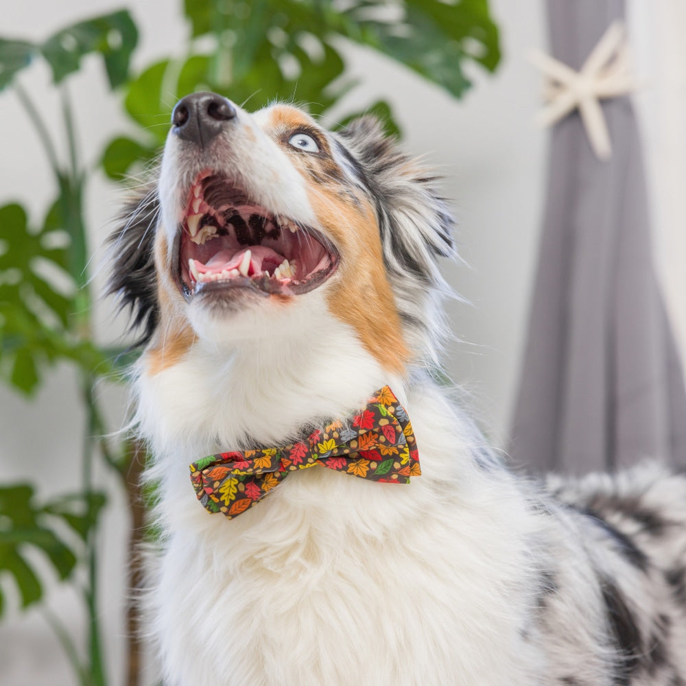 Leaves & Nuts Bow Tie