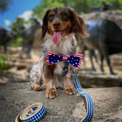 Liberty Bow Tie