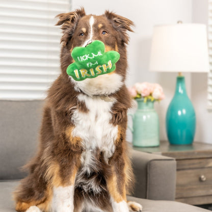 Lick Me Shamrock Dog Toy