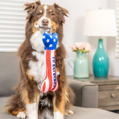 Lil' Firecracker Bone Dog Toy