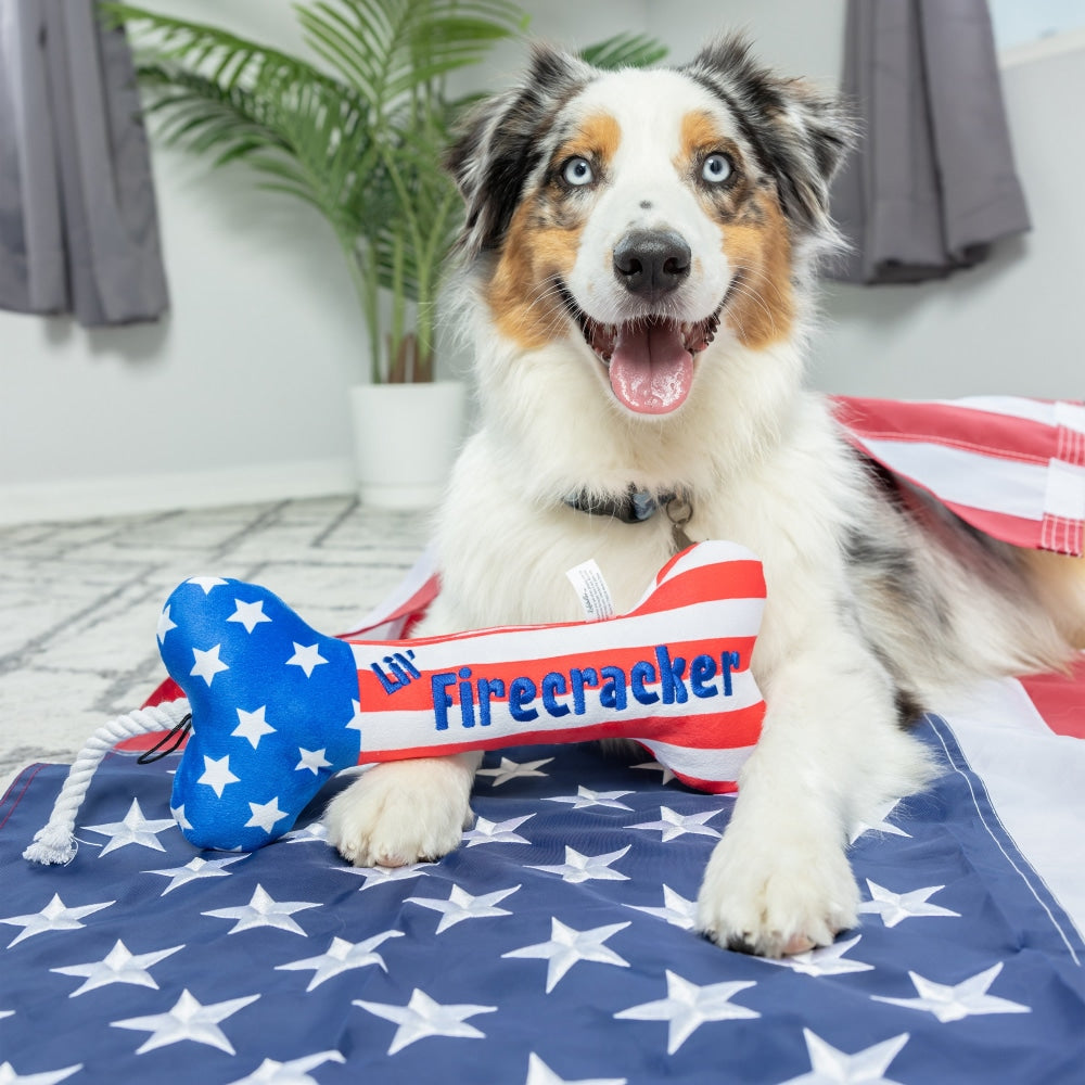 Lil' Firecracker Bone Dog Toy