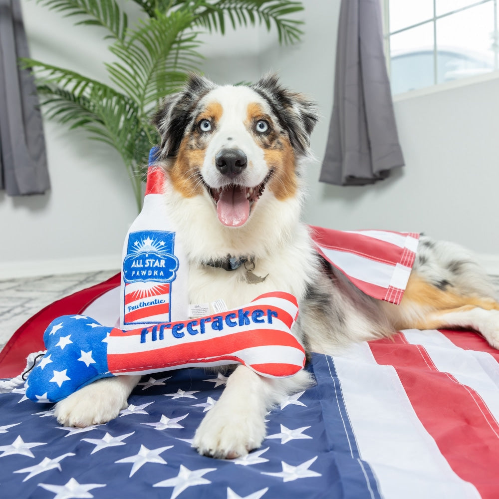 Lil' Firecracker Bone Dog Toy