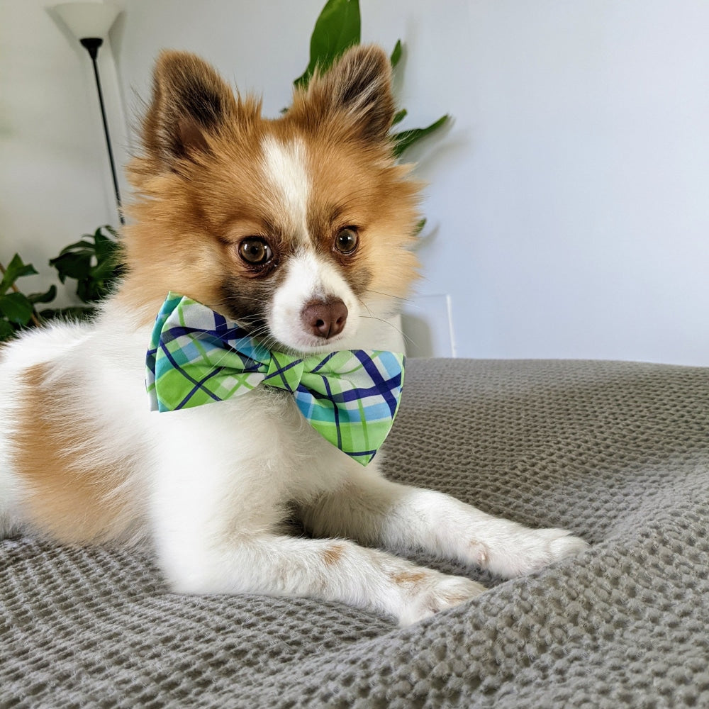 Lime Madras Bow Tie