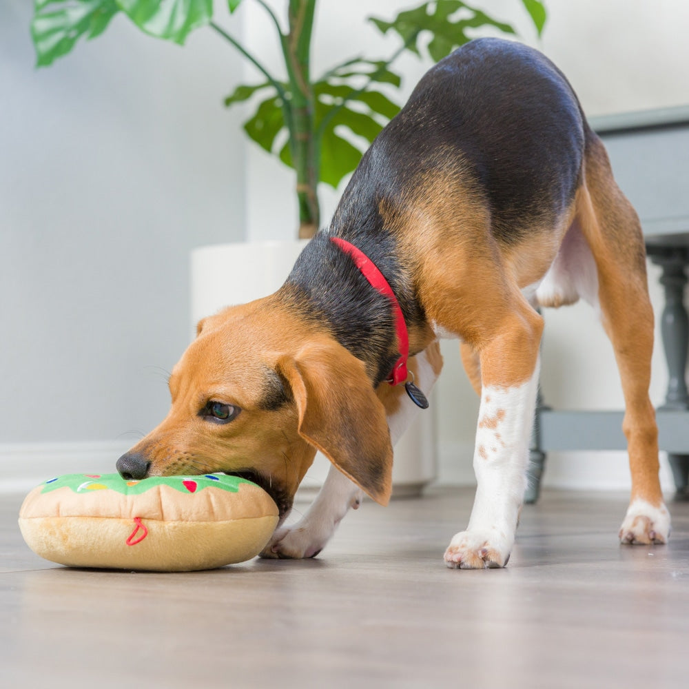 Lit Donut Dog Toy