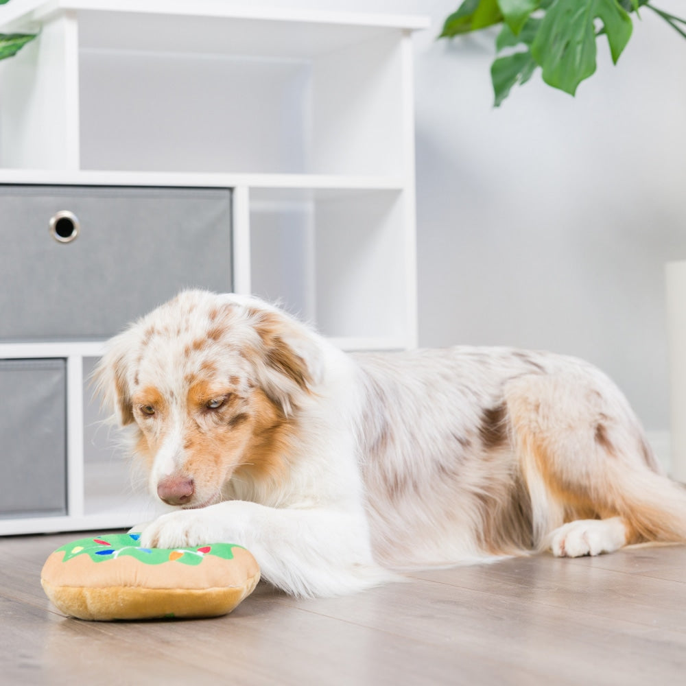 Lit Donut Dog Toy