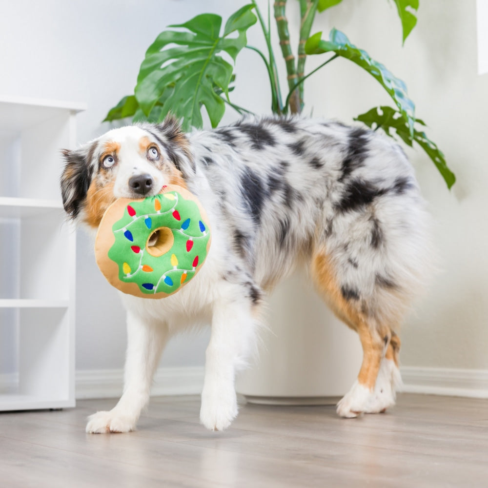 Lit Donut Dog Toy
